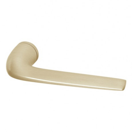 Armadillo LACONY R.ART30